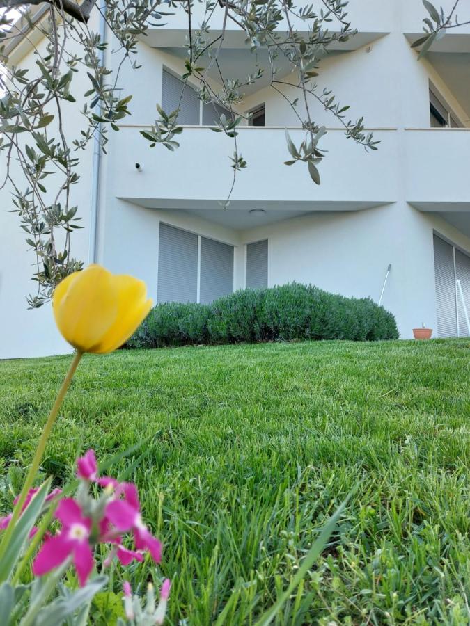 Apartment Fiorella Poreč Eksteriør billede
